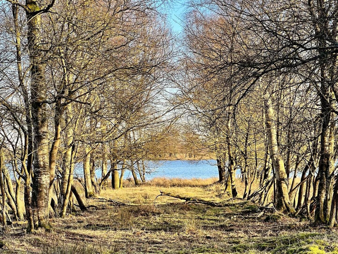Natuurhuisje Meppen Luaran gambar