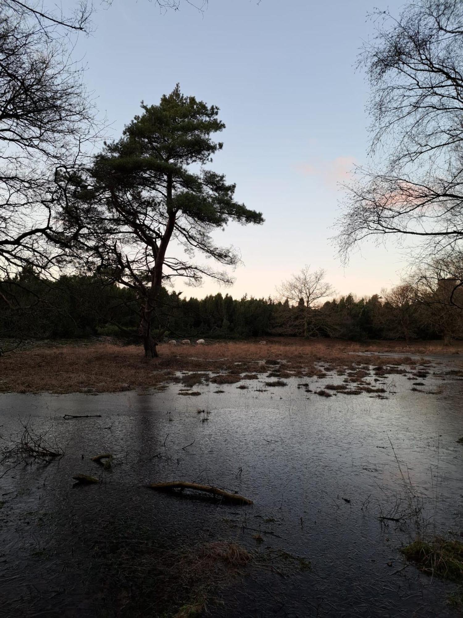 Natuurhuisje Meppen Luaran gambar
