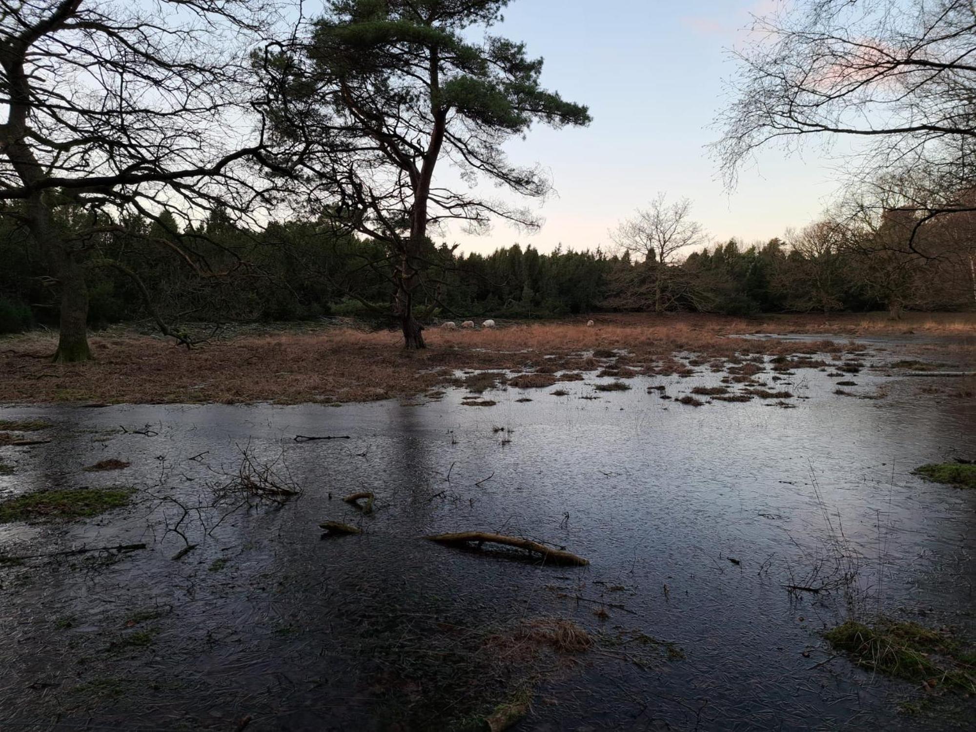 Natuurhuisje Meppen Luaran gambar