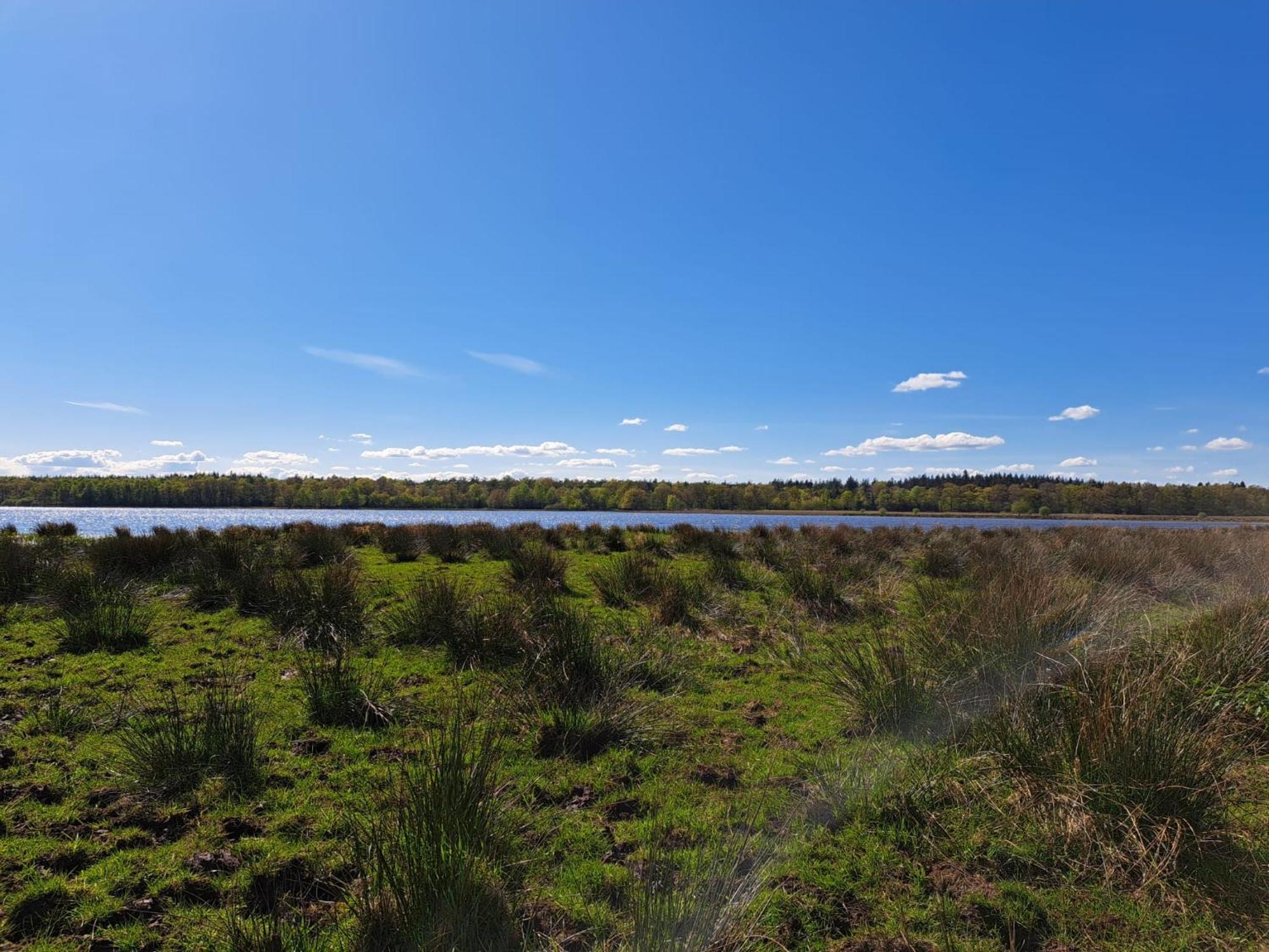 Natuurhuisje Meppen Luaran gambar