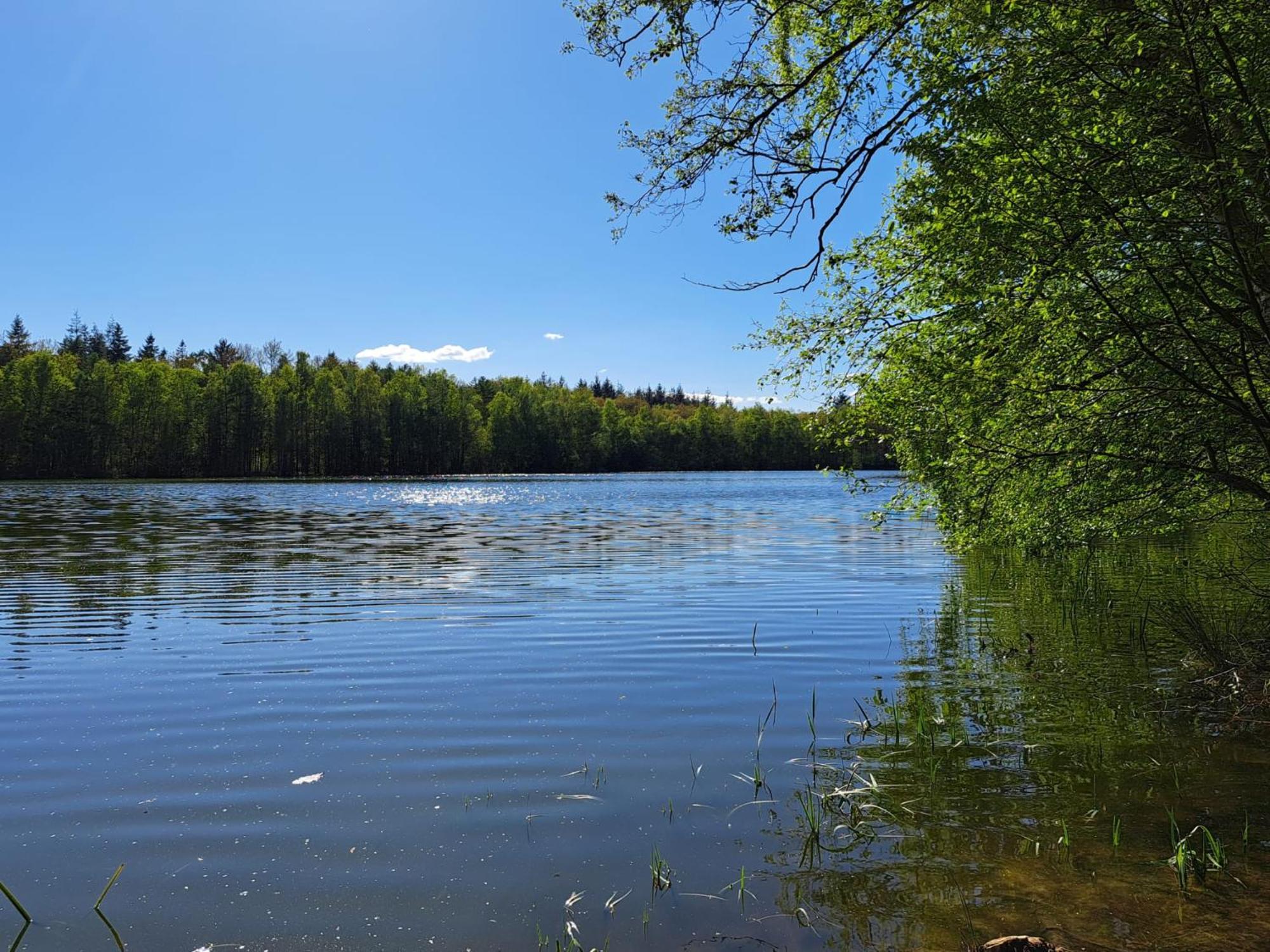 Natuurhuisje Meppen Luaran gambar