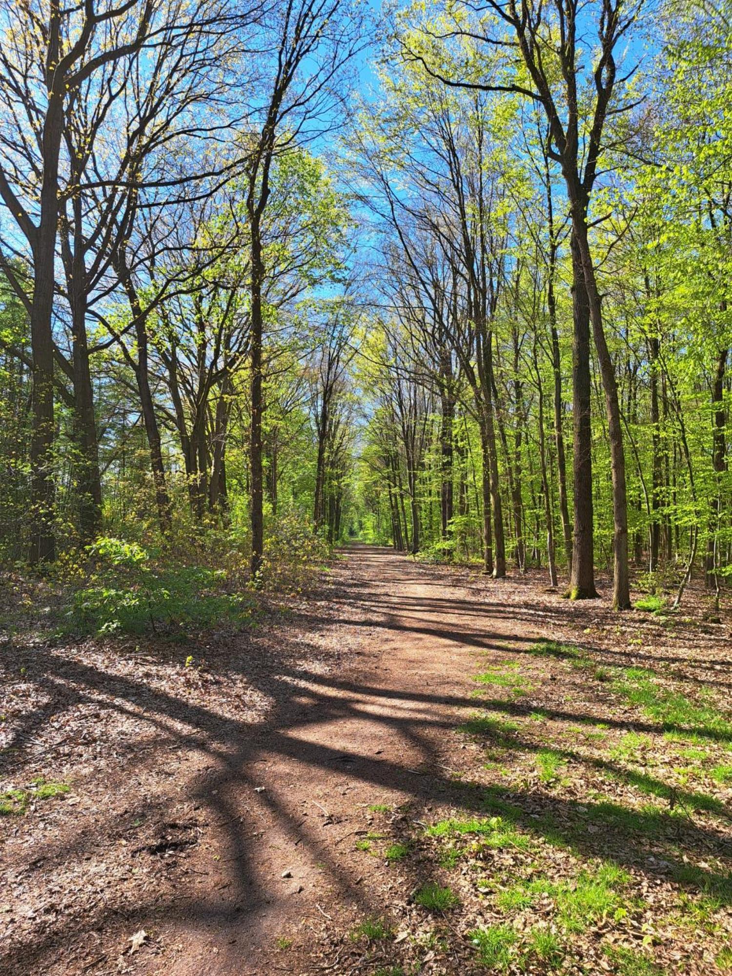 Natuurhuisje Meppen Luaran gambar